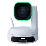 BirdDog BDPX1UW