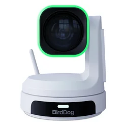 BirdDog-BDPX1UW