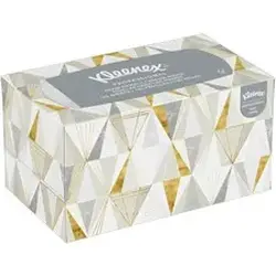 KIMBERLY CLARK-KCC 01701