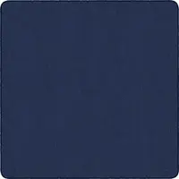 Flagship Carpets LLC-FCI AS26NY