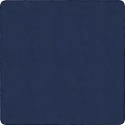Flagship Carpets LLC-FCI AS26NY