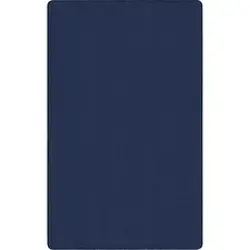 Flagship Carpets LLC-FCI AS44NY