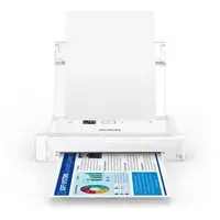 EPSON-EPS C11CH25202