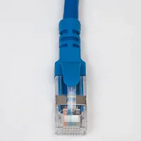 International Connectors and Cable Corp.-ICPCSG10BL