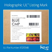 International Connectors and Cable Corp.-ICCABP6FBL