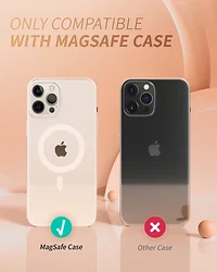 I BLASON-MAGSTANDSCSMBLE