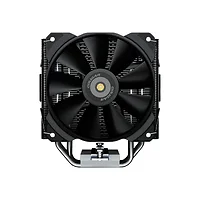 Cougar-FORZA 50 ESSENTIAL