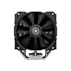 Cougar-FORZA 50 ESSENTIAL