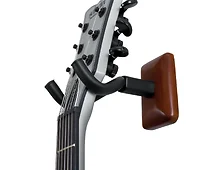 Gator Cases-GFW-GTR-HNGRCHR