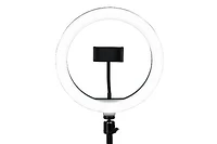 Gator Cases-GFW-RINGLIGHTDSKTP