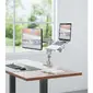 AMER NETWORKS-HYDRA2GPT