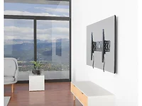 ACER-BIGASSMOUNT250T