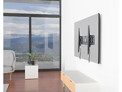 ACER-BIGASSMOUNT250T