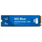 Western Digital WDS100T4B0E
