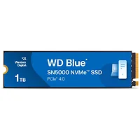 Western Digital-WDS100T4B0E