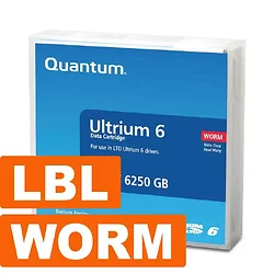 CHECK POINT-MR-L6WQN-04