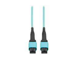 Tripp Lite-N845A-03M-12TAA