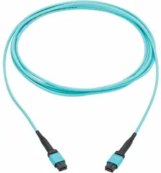 Tripp Lite-N845B-03M-12TAA