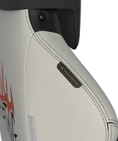 DXRACER USA-GC/XLDC23LTA/SPEED.NW