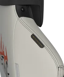 DXRACER USA-GC/XLDC23LTA/SPEED.NW