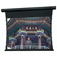 DALITE SCREEN COMPANY, INC-99291