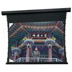 DALITE SCREEN COMPANY, INC-99291