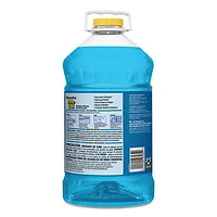 CLOROX-97434