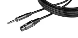Gator Cases-GCWC-XLR-20MTRS