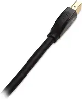 Belkin-101019-25