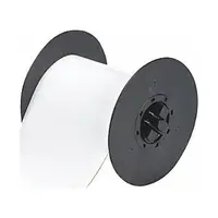 BRADY-B30C-4000-581-WT