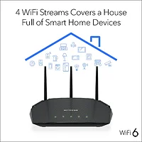 NETGEAR-RAX36S-100PAS