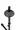 GFW-BNO-TRUMPET