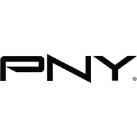 PNY Technologies-PMS4X00-NS400