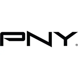 PNY Technologies-PMS4X00-NS400