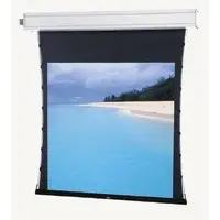 DALITE SCREEN COMPANY, INC-88285