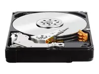 Western Digital-WD20NPVX