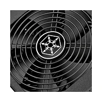 SILVERSTON-ST1000-PT