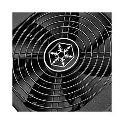 SILVERSTON-ST1000-PT