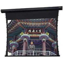 DALITE SCREEN COMPANY, INC-70216