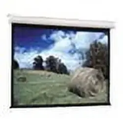 DALITE SCREEN COMPANY, INC-92704