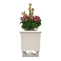 ROCKUSTICS-0171-0028