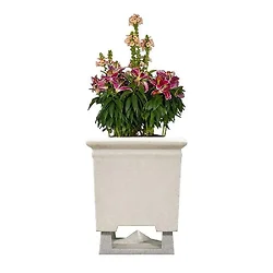 ROCKUSTICS-0171-0028