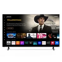 Vizio-M65Q6-L4