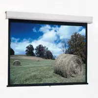 DALITE SCREEN COMPANY, INC-92696
