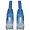 N201-005-BL50BP