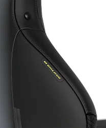 DXRACER USA-GC/XLDC23LTALTG/N