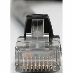 International Connectors and Cable Corp.-ICPCSG10BK