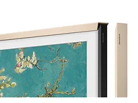 SAMSUNG-VG-SCFC65SGM/ZA