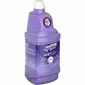 PROCTER & GAMBLE-PGC 77811CT