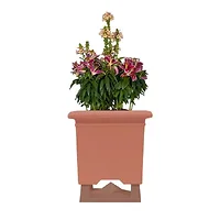 ROCKUSTICS-0171-0029